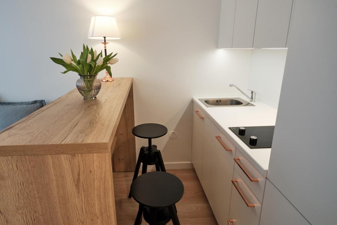 Cosy Studio Near Akropolis And Svyturio Arena كلابيدا المظهر الخارجي الصورة